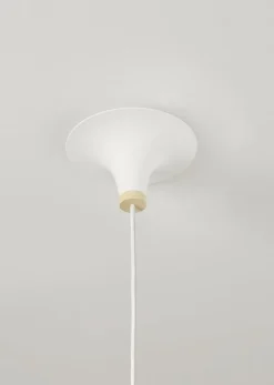 Acorn takpendel