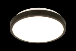 Anillo 30 cm taklampe 12W dimbar 3000 Kelvin