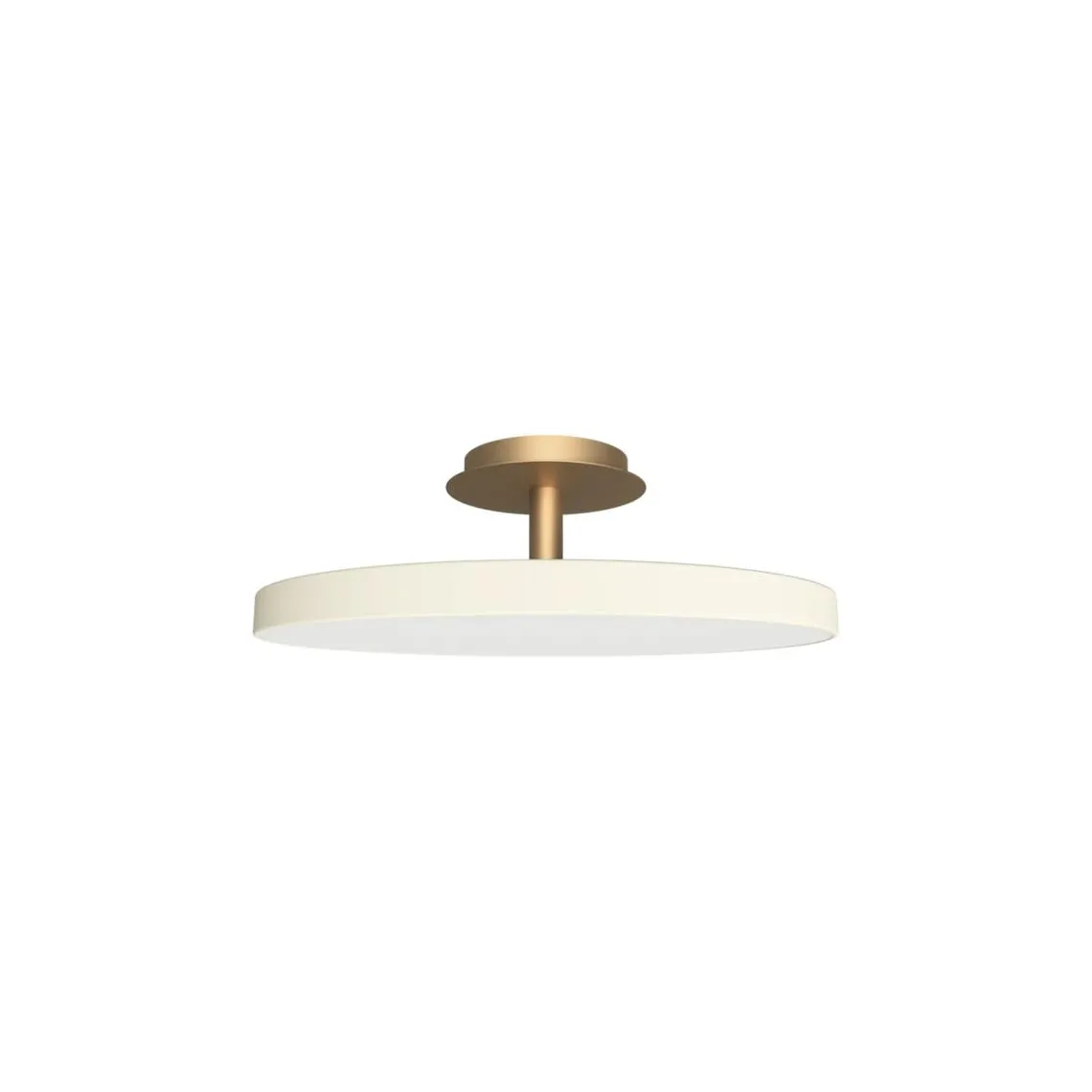 Asteria Plus large