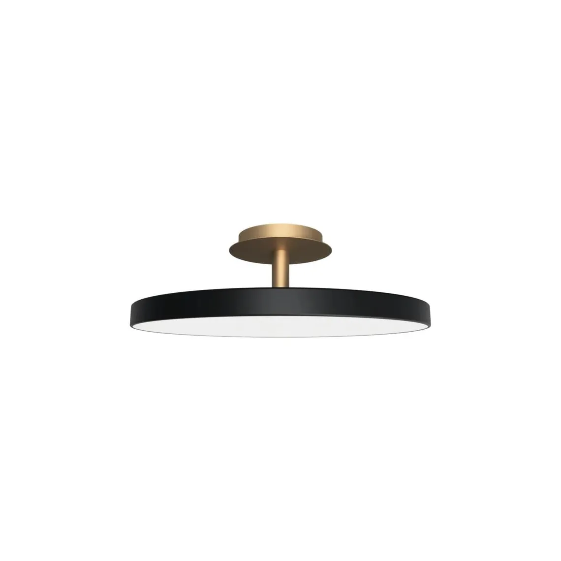 Asteria Plus large