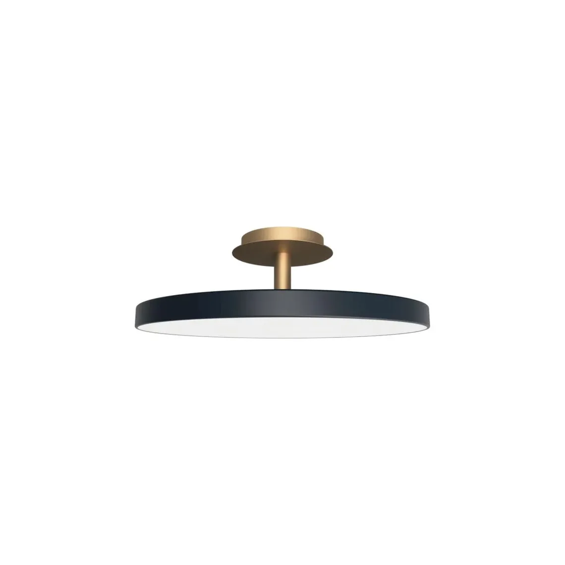 Asteria Plus large