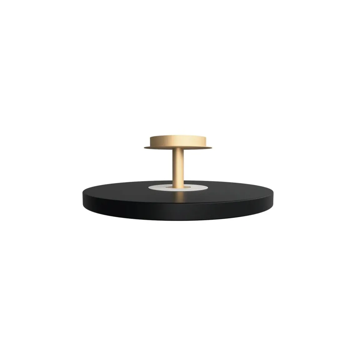 Asteria Plus large