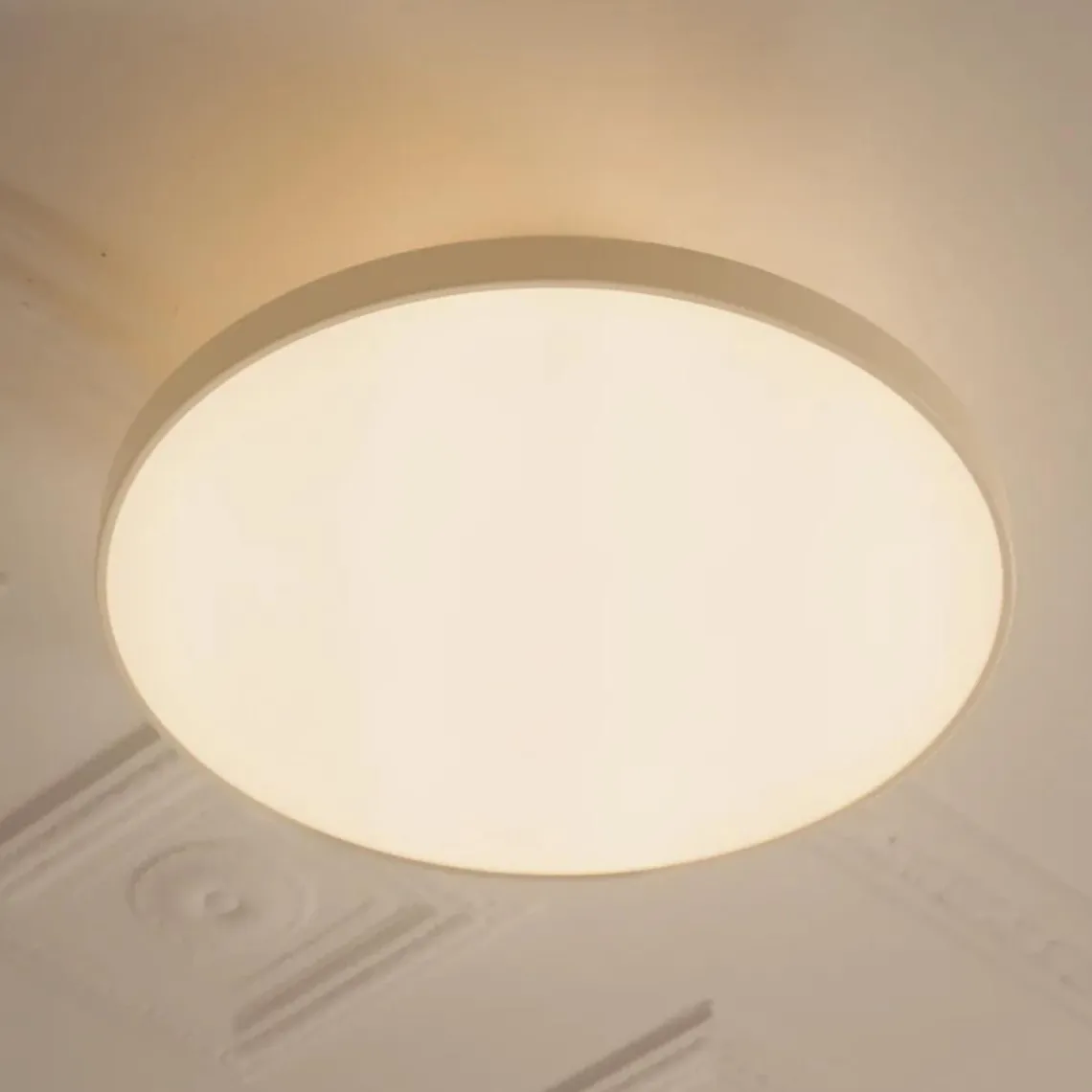 Asteria Plus large