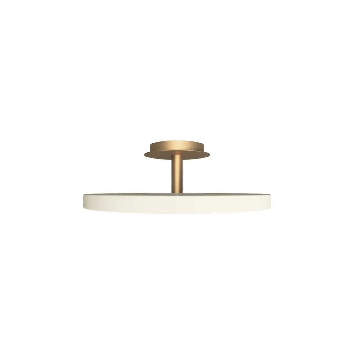 Asteria Plus large