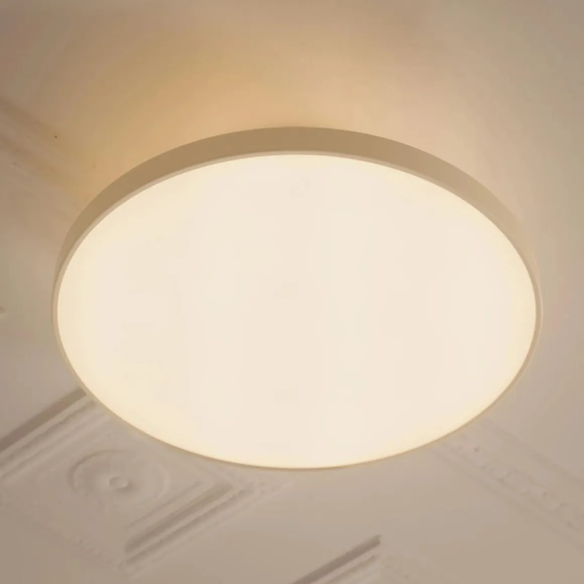 Asteria Plus medium