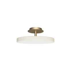 Asteria Plus medium