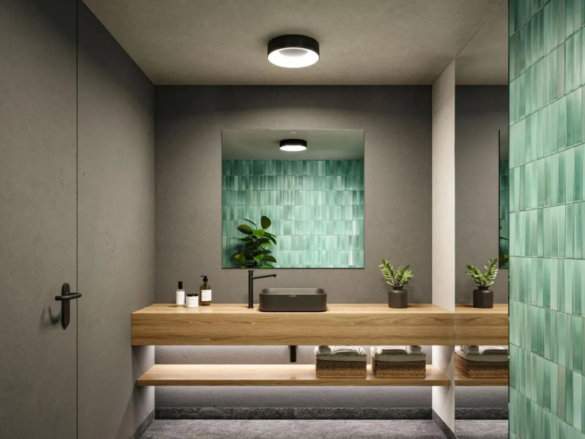 Casca taklampe 30 cm 16W IP44 3000-6500 Kelvin 1500 lumen- 3-step moodmaker