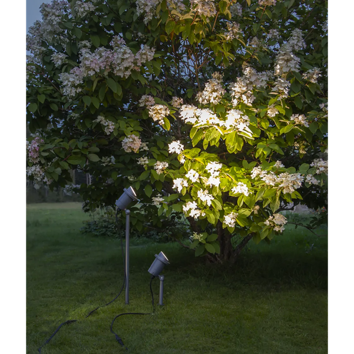 Focus uplight på spyd 30 cm utendørs GU10 IP44 - Svart