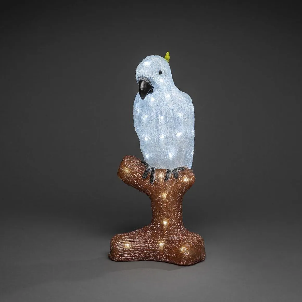 Papegøye 47 cm
