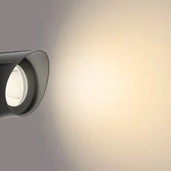 Philips Gardenlink uplight 2700K 6W IP44 start enhet - Svart - - 12Volt