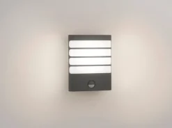 Philips myGarden Raccoon vegglampe utendørs 3W IP44 m/bevegelses sensor IR