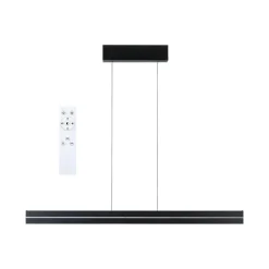 Raiko takpendel 19/6W 2700-6500 Kelvin RGB med fjernkontroll