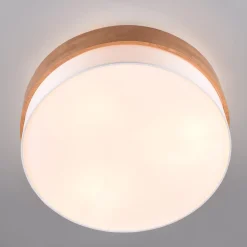 Seasons taklampe Ø50