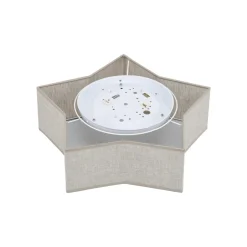 Star tak/vegglampe